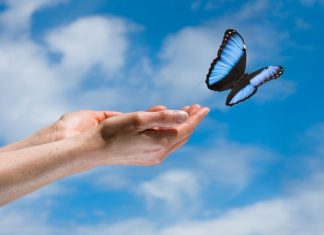 Vous êtes prêt à être libre